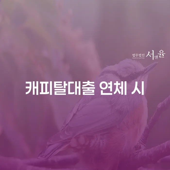 개인회생신청 개인회생 상담으로 확인하고