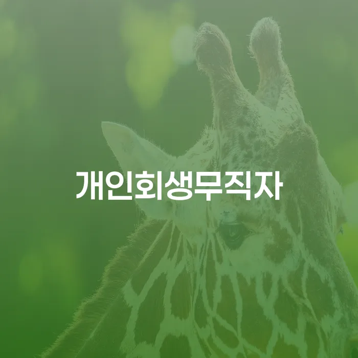예산군 연체전개인회생 빚 합법적인 빠른방법 노하우들